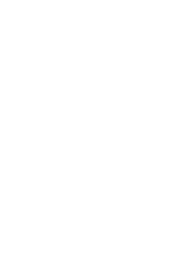 DANTE 700 